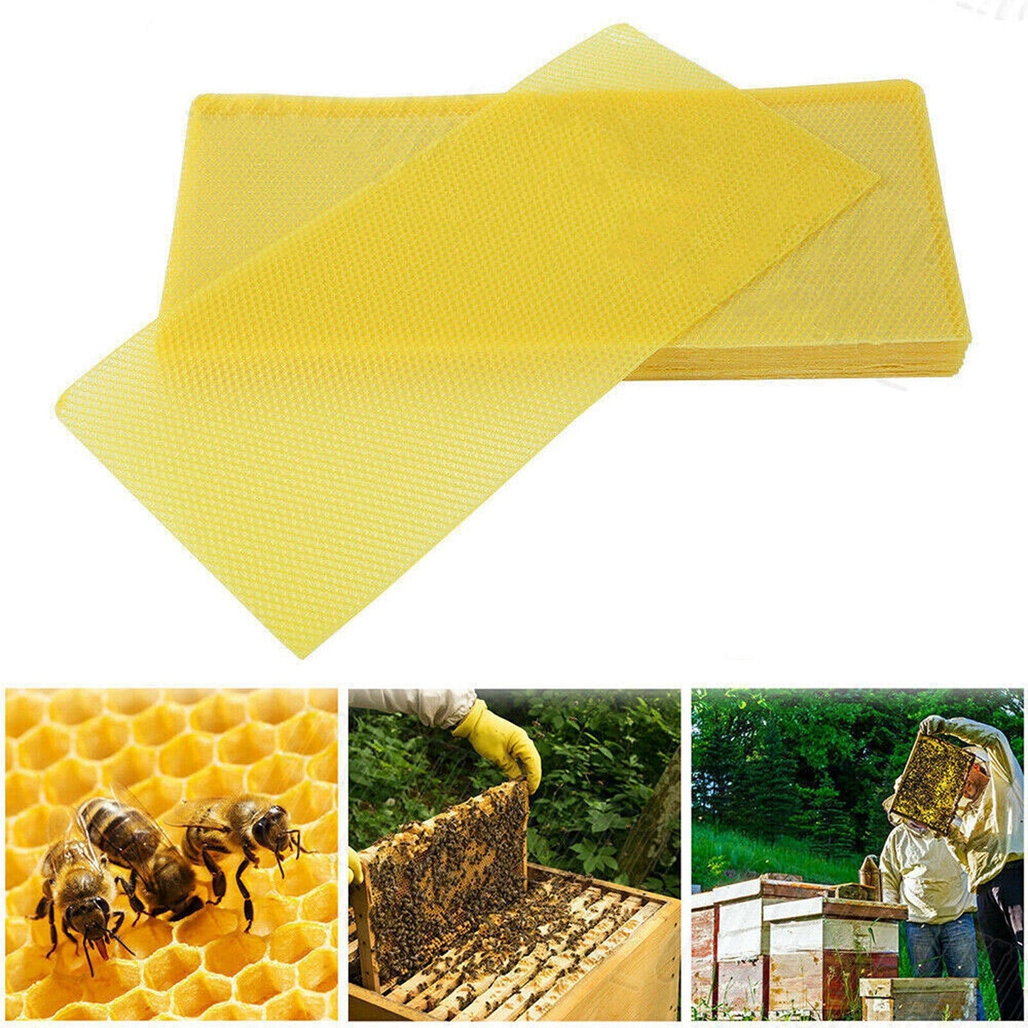 30pcs Beekeeping Equipment Honeycomb Foundation Wax Frames