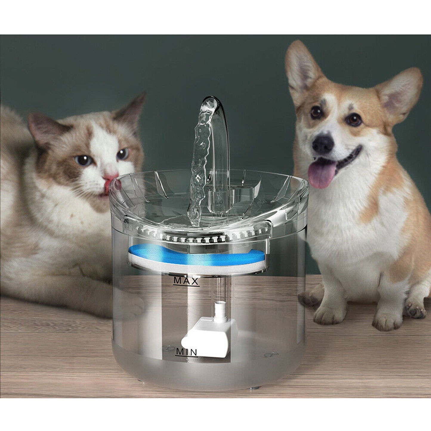 Automatic Electric 2L Pet Water Fountain Cat Dog Sensor Drink Dispenser Filter