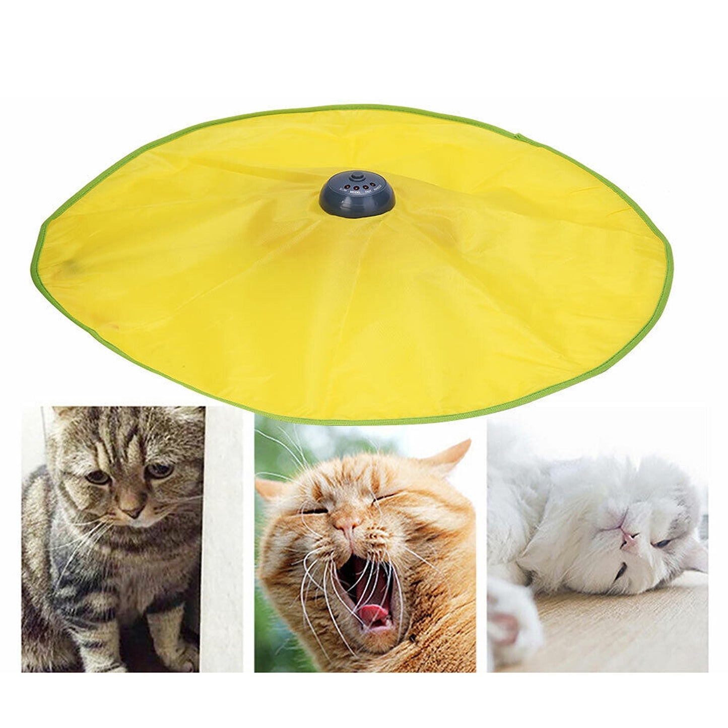 Interactive Cat Toy with Rotating Mouse Electronic Puzzle for Pets