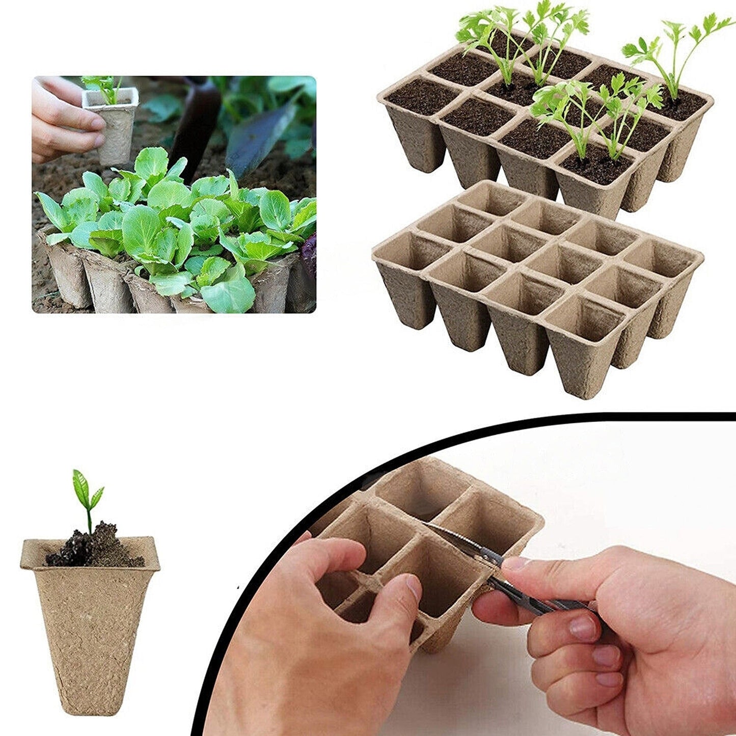 Biodegradable Paper Seedling Trays Garden Nursery Seed Pots