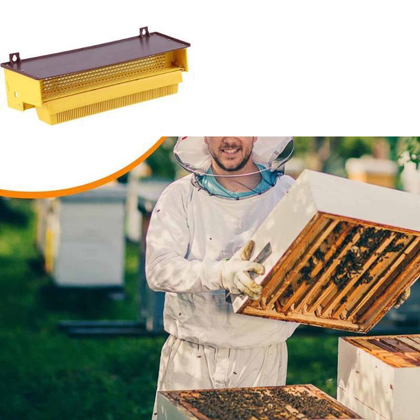 Bee Pollen Trap Collector Tool with Removable Tray for Beekeeping