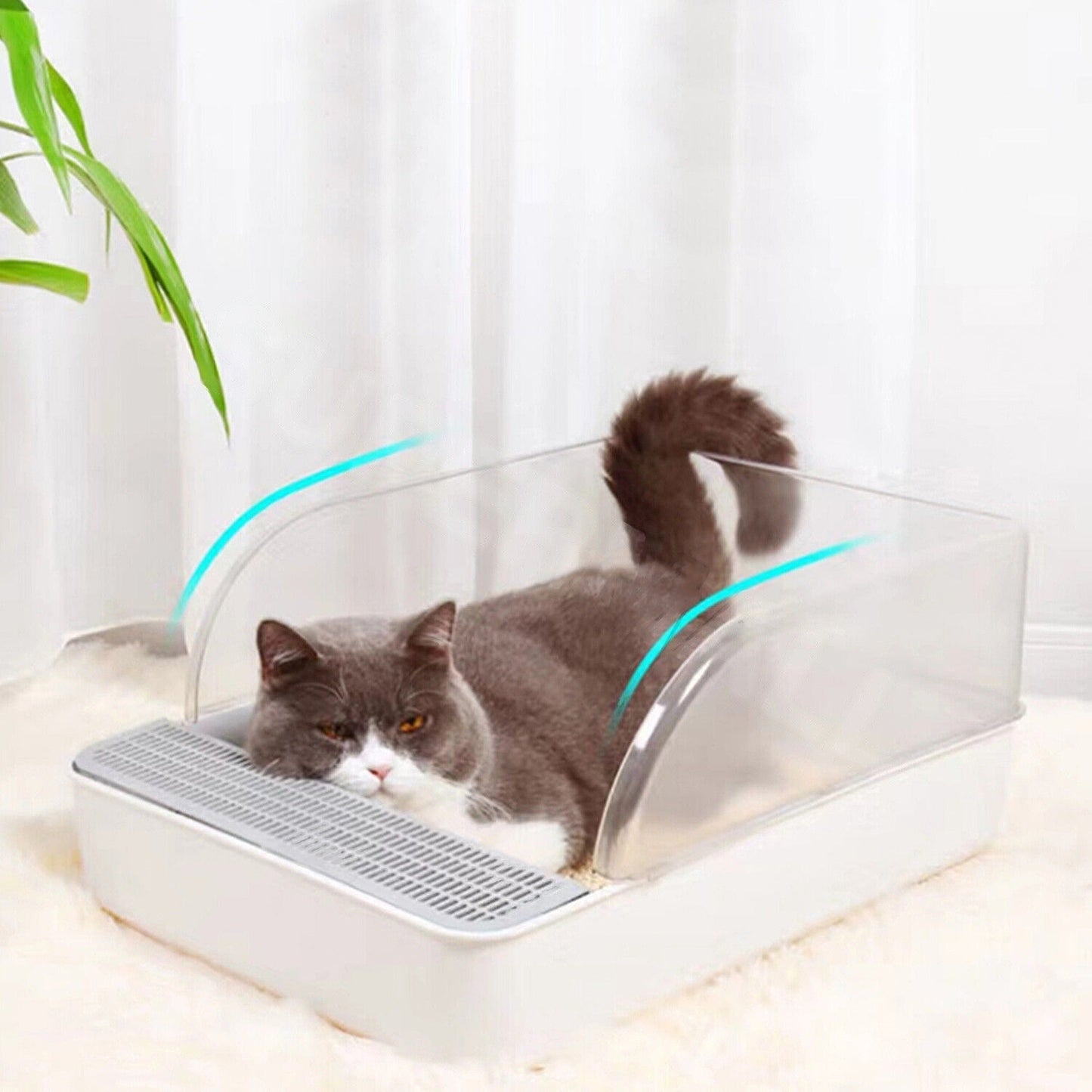 Cat Litter Box with Large Entry and Splash Guard Open Kitty Toilet Tray