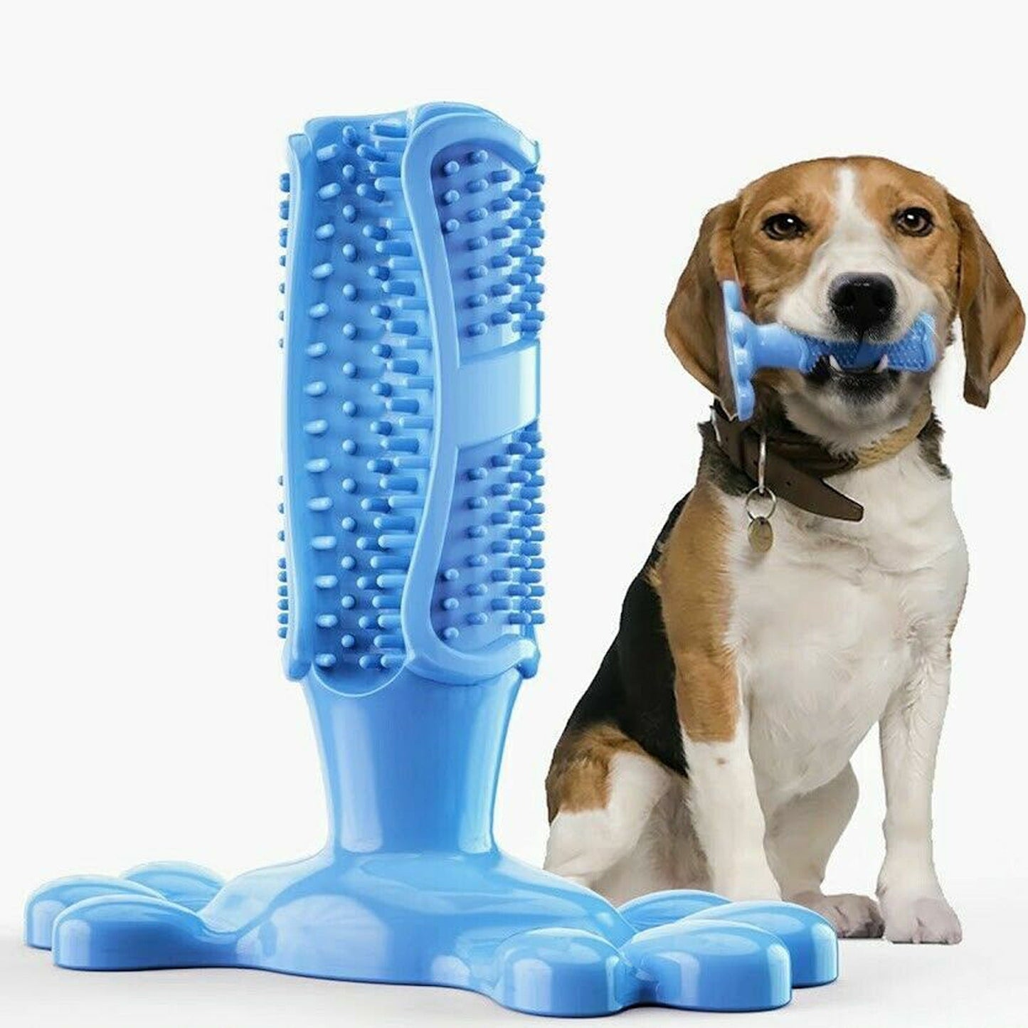 Chewable Dog Toothbrush Molars Brush for Pet Dental Health