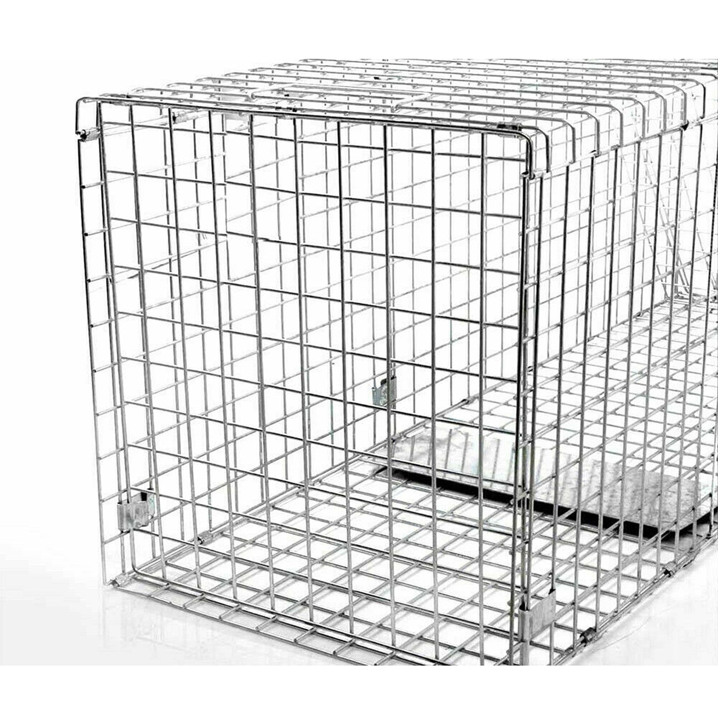 Folding Humane Live Catch Animal Trap Cage for Possum Fox Rat Rabbit Bird