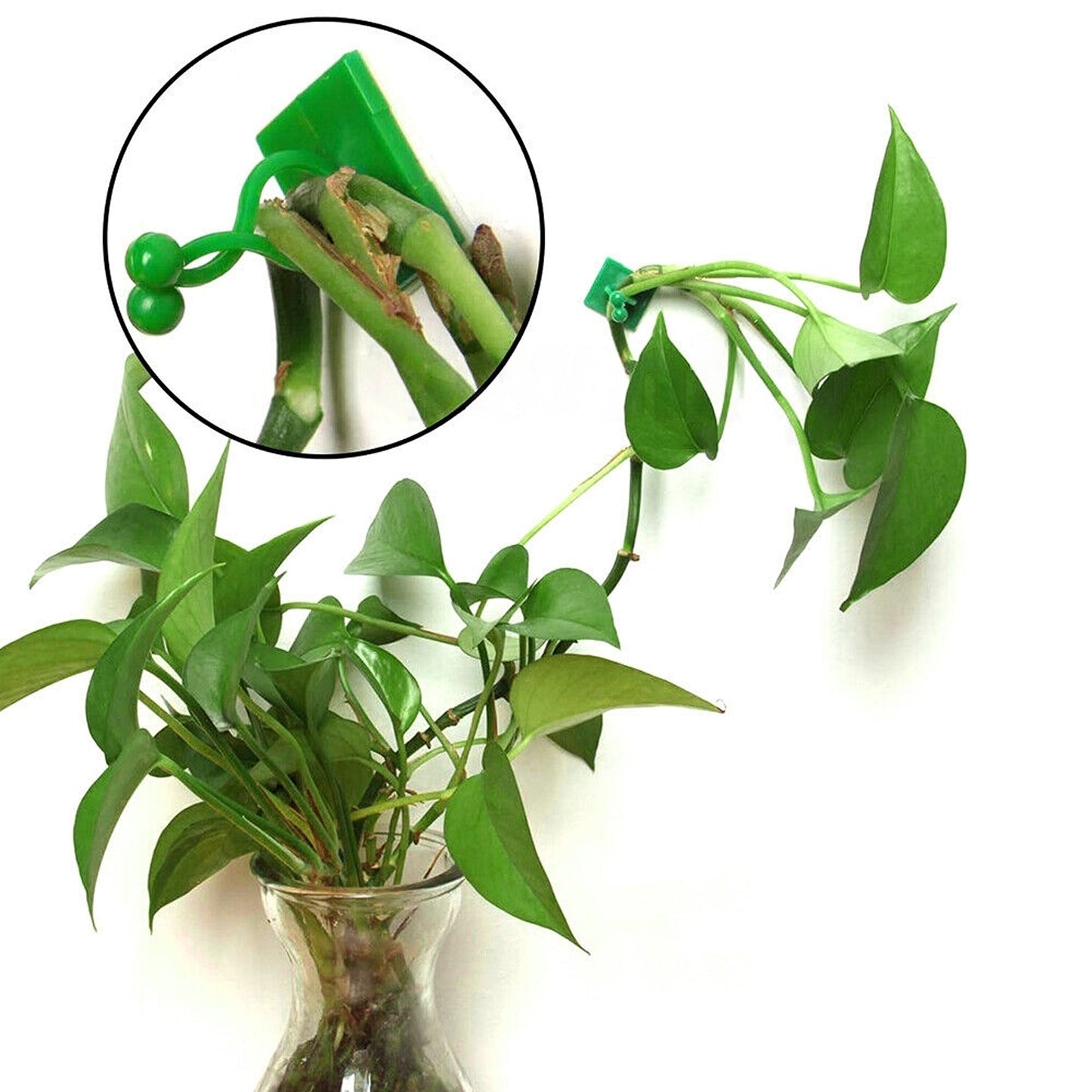 100pcs Plant Climbing Wall Vines Fixing Clips Invisible Rattan Clamp