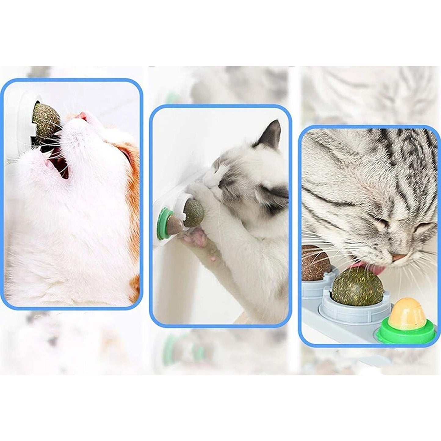 Wall Mount Catnip Ball Toy for Cats - Digestion Helping Solid Nutrition