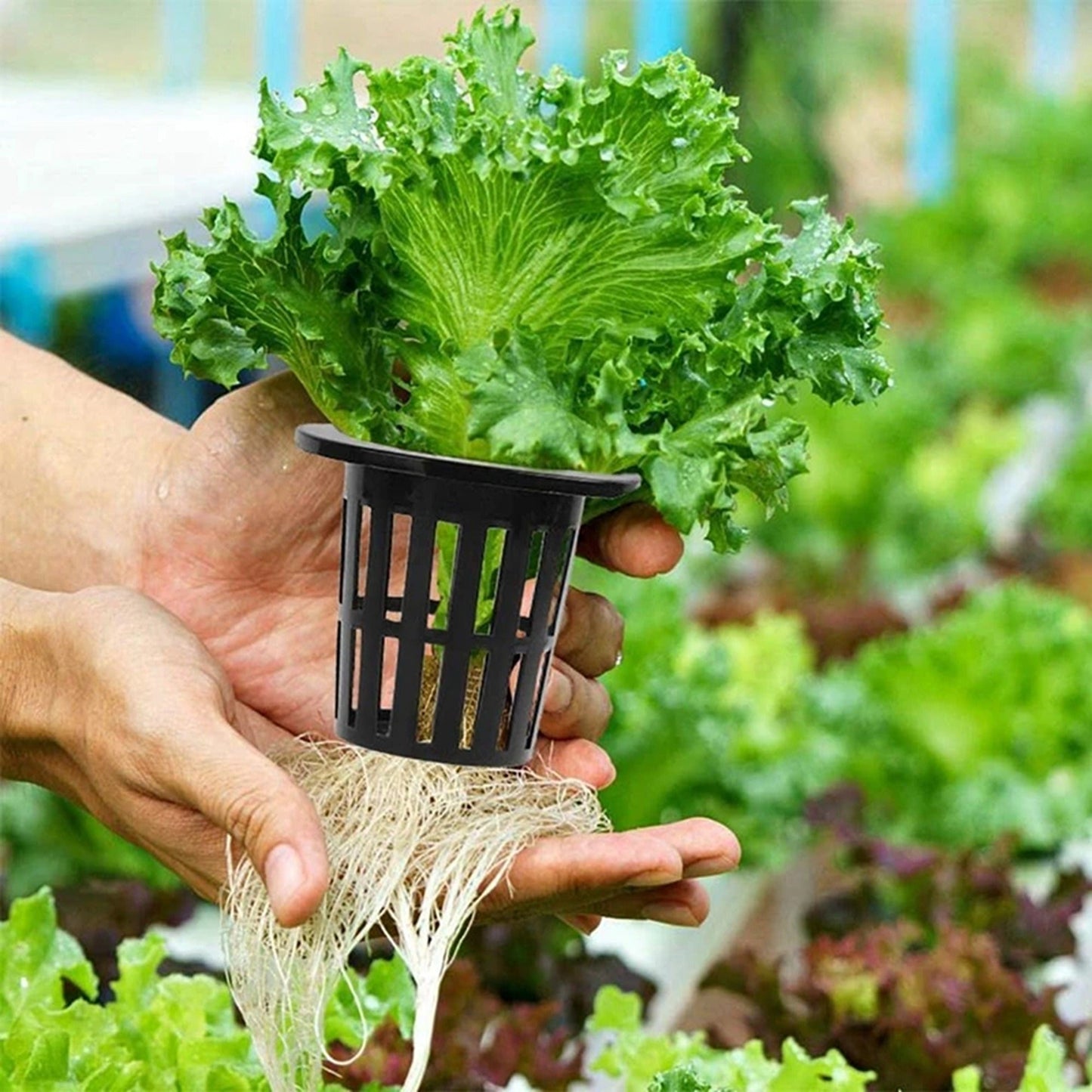 40pcs Hydroponics Aeroponic Planting Baskets Mesh Net Cup