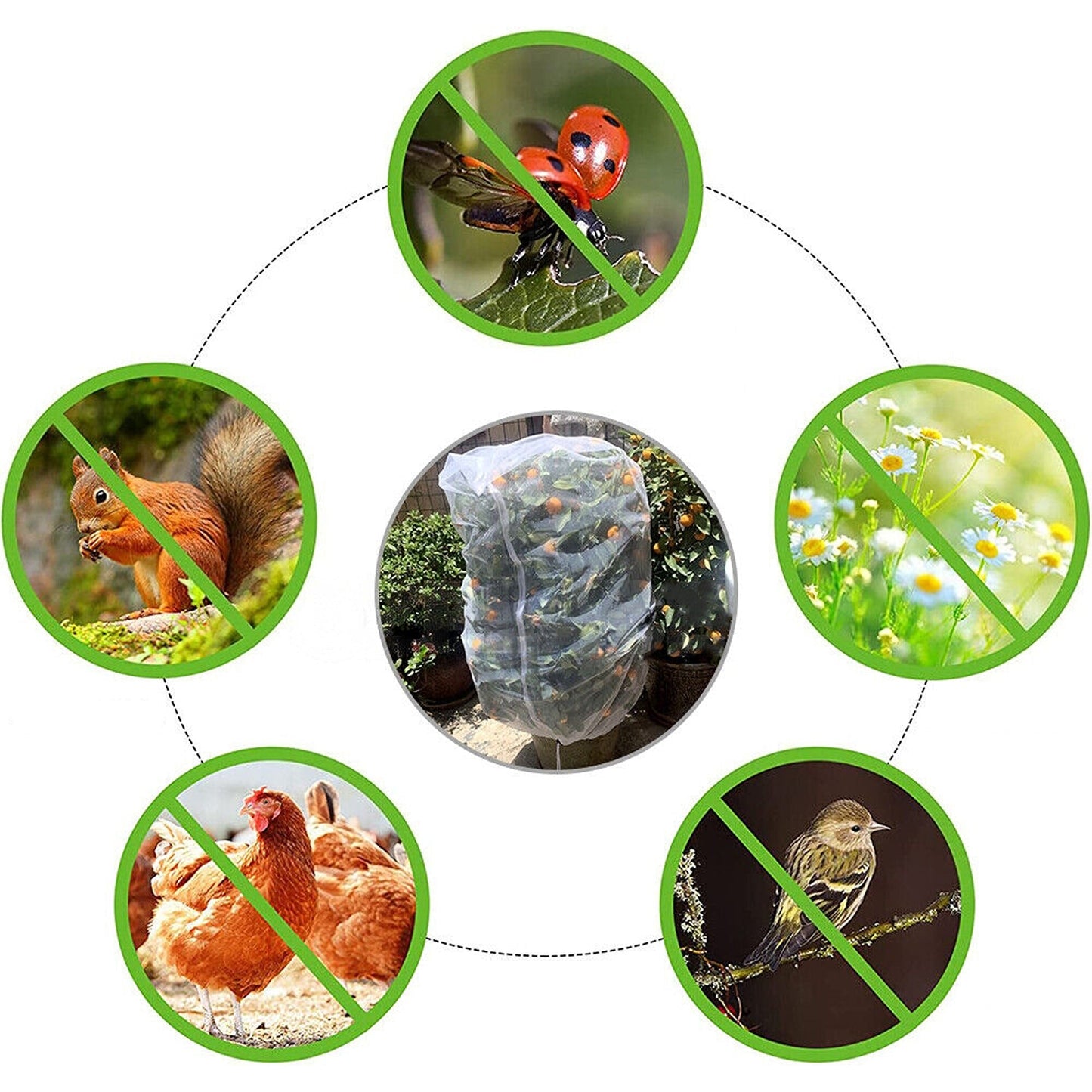 Insect Protection Mesh for Plants Fruit Fly Netting Vegetable Garden Cover