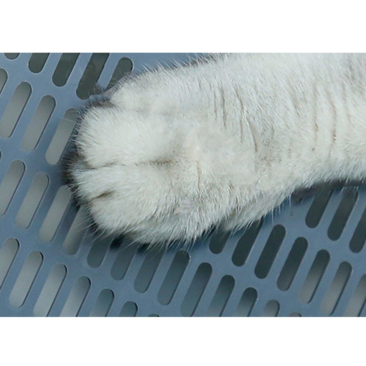 Cat Litter Box with Large Entry and Splash Guard Open Kitty Toilet Tray