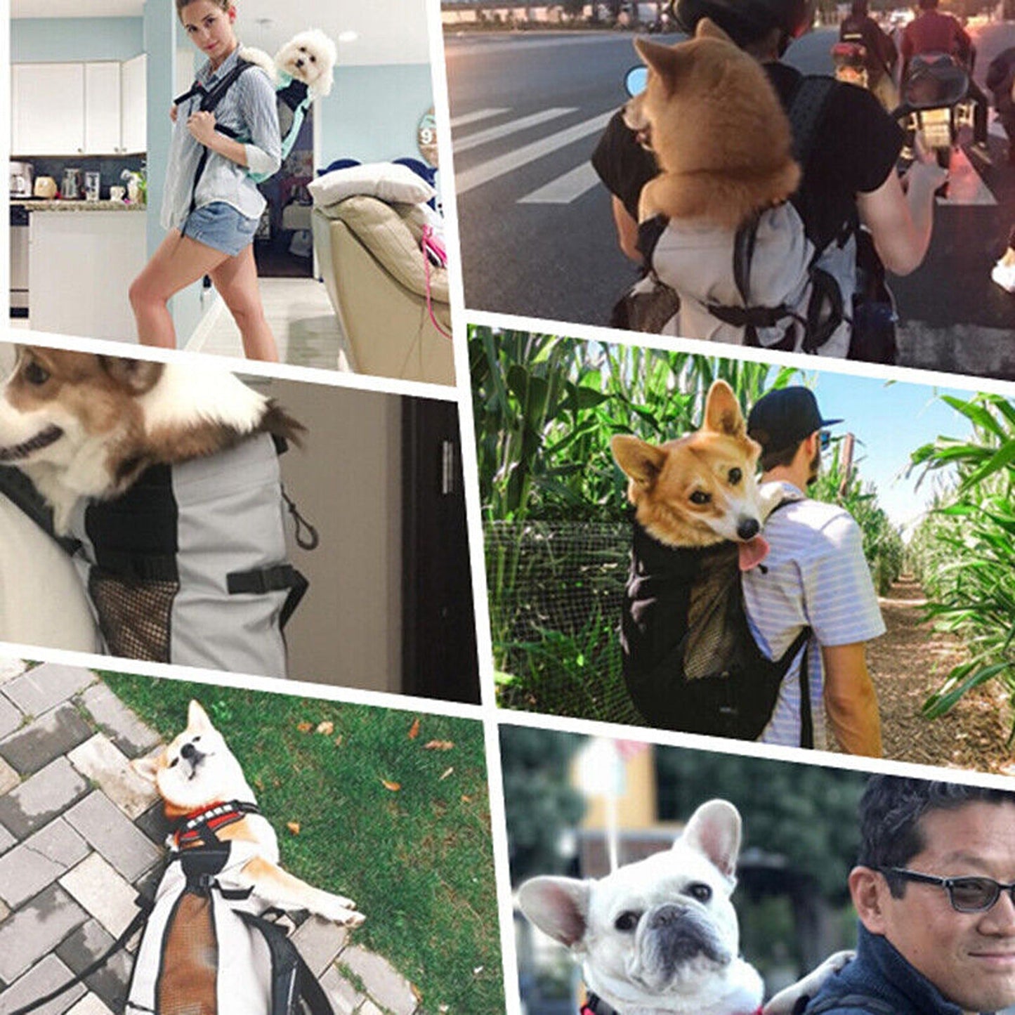K9 Large Dog Backpack Carrier for Outdoor Hiking and Biking