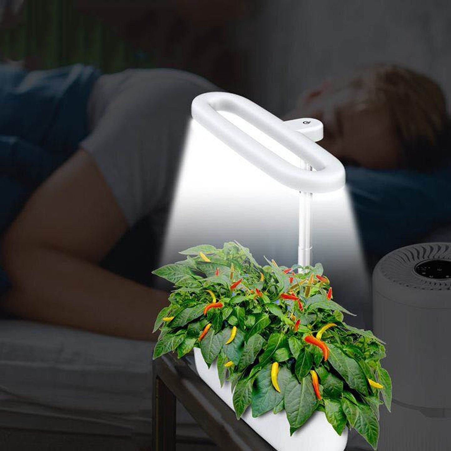 Indoor Hydroponics Herb Garden Starter Kit with LED Grow Lights