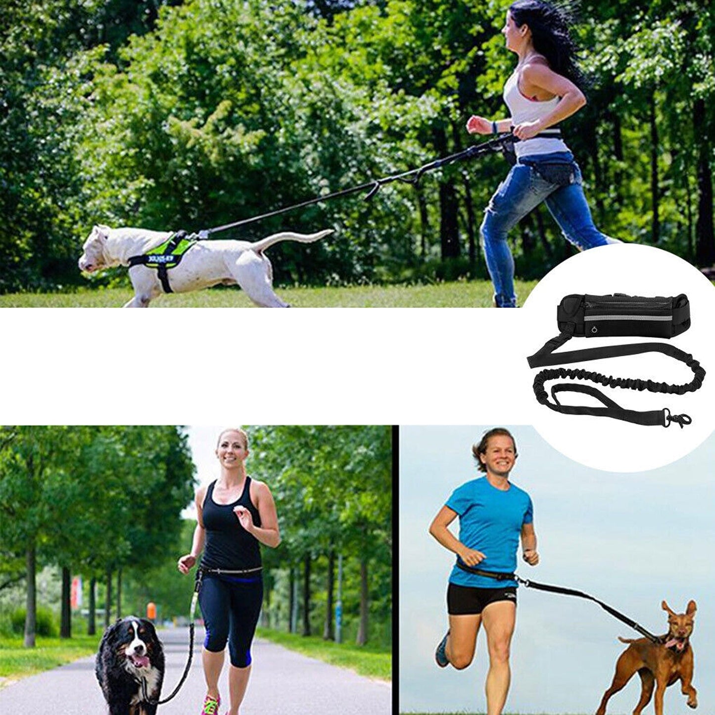 Hands-Free Dog Leash with Adjustable Waist Belt for Jogging