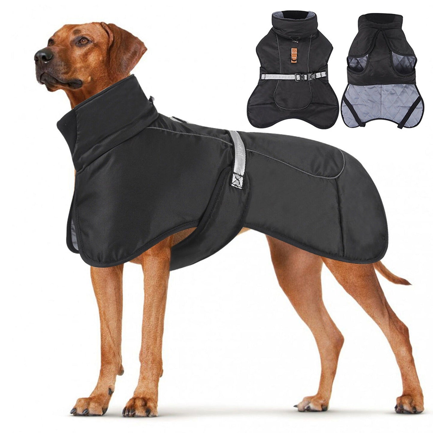 Black Waterproof Dog Jacket for Winter Warm and Windproof