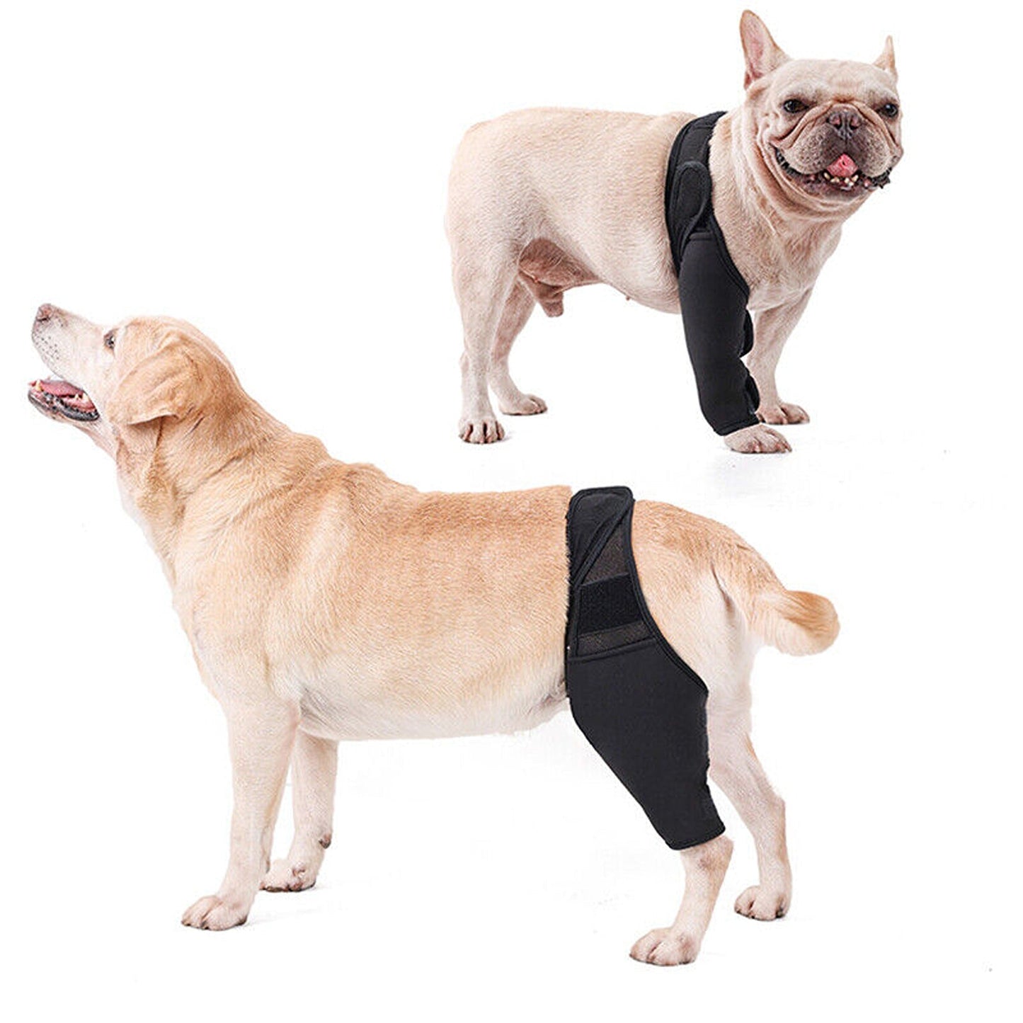 Supportive Pet Dog Leg Brace for Knee and Joint Compression