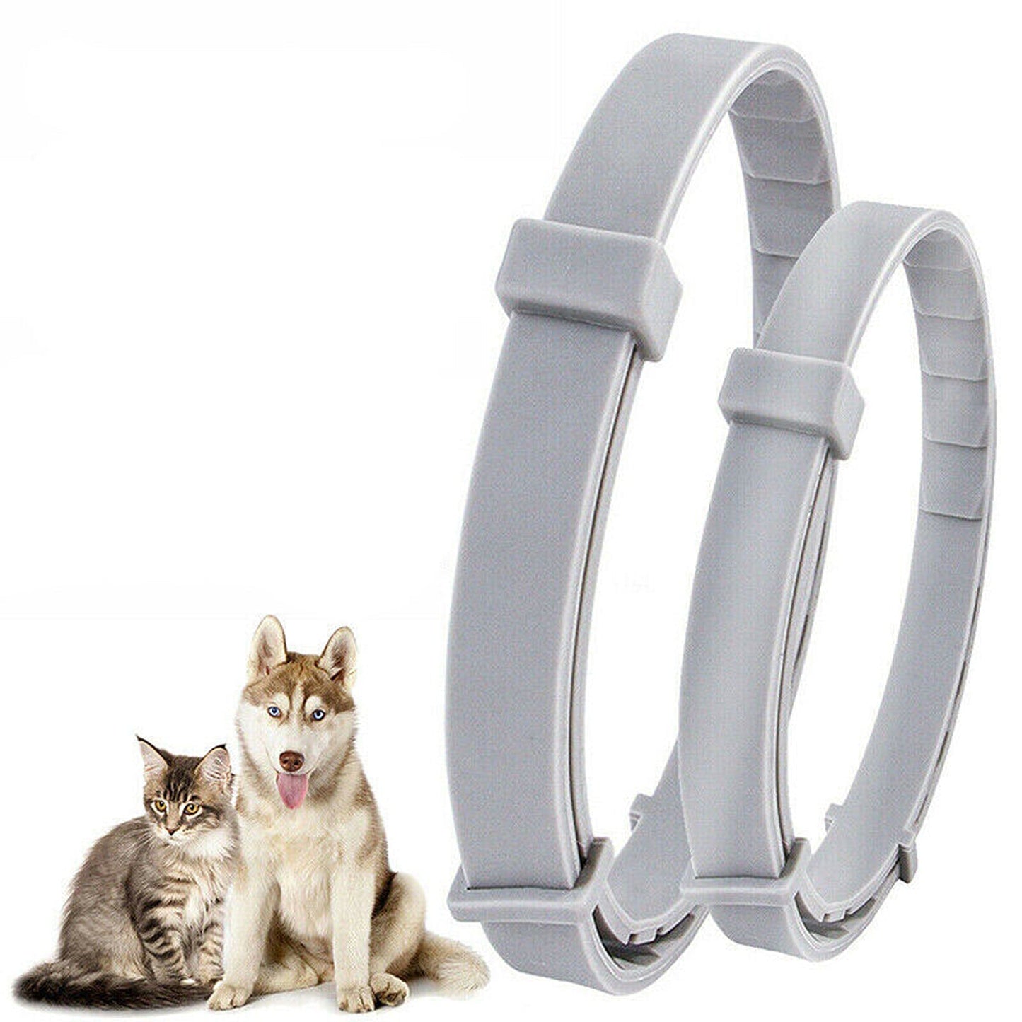 Grey Kitten and Puppy Identification Collar Bands for New Pets