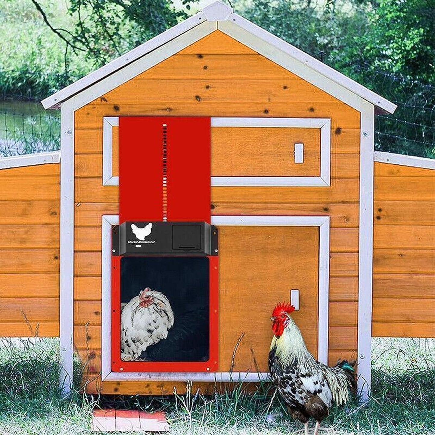 Automatic Light Sensor Chicken Coop Door Opener Waterproof