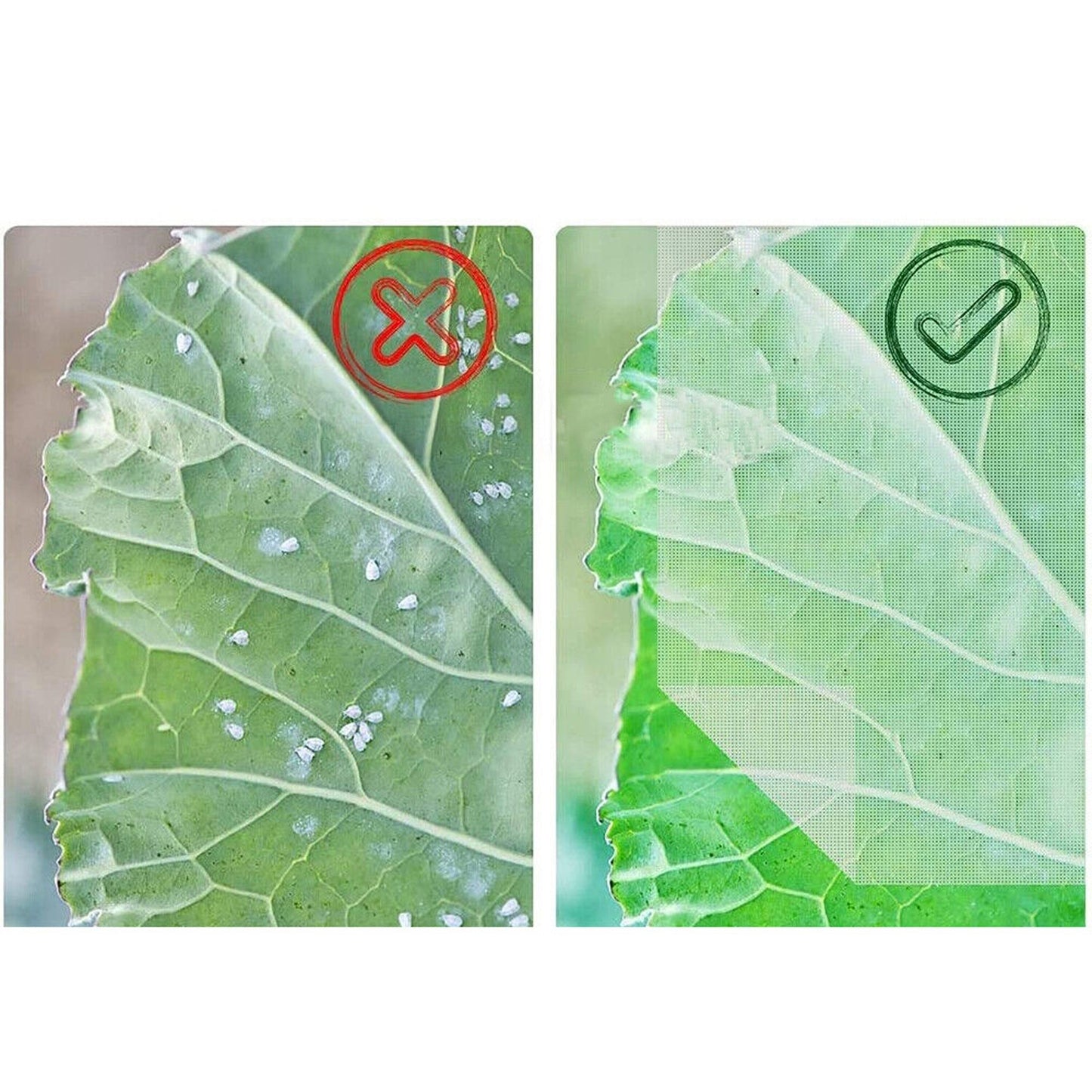 Protective Garden Mesh Netting for Plants Birds Insects and Animals