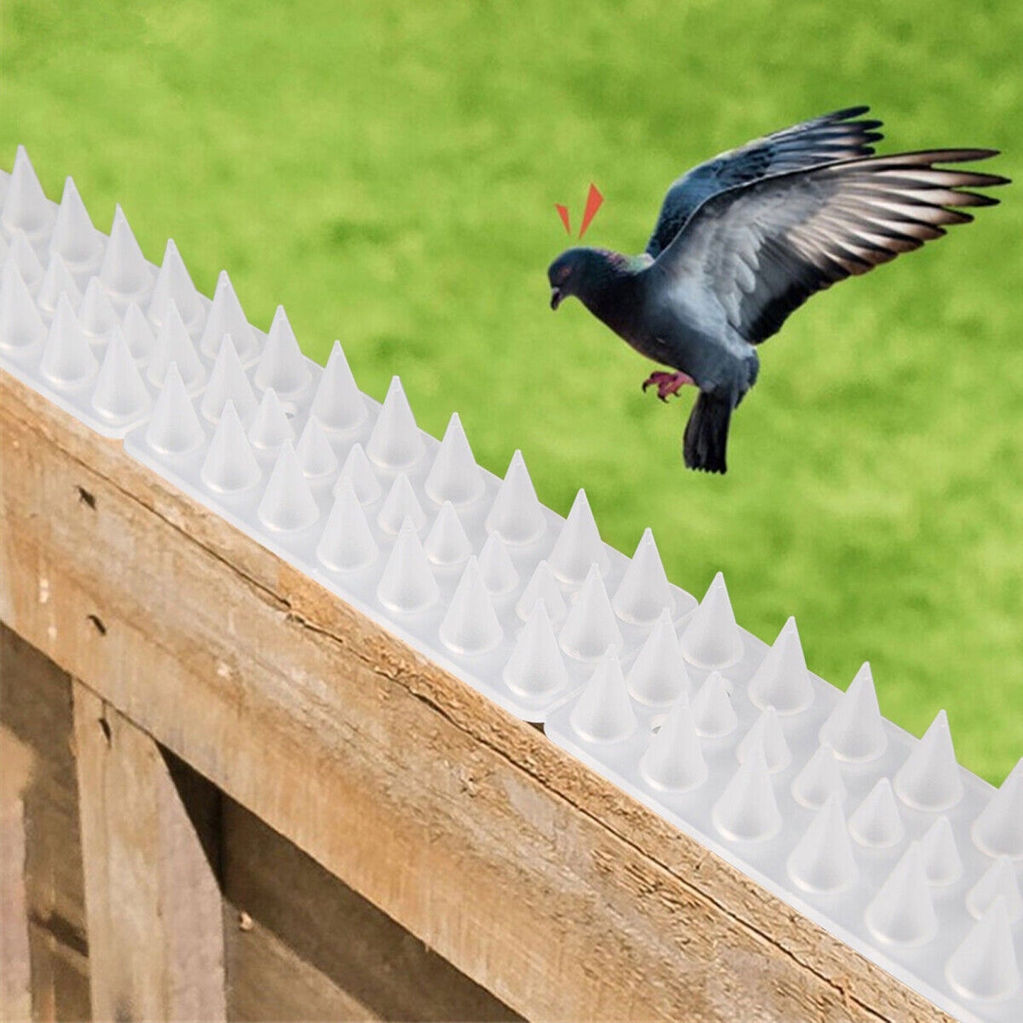 10pcs Bird and Pest Control Spikes Security Spiked Fence for Human Cat and Mouse