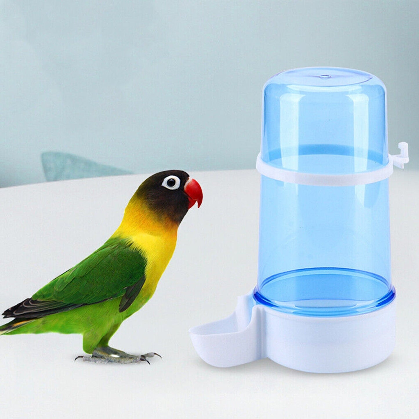 Bird Feeder Drinking Bottle Automatic Parrot Dispenser For Cages