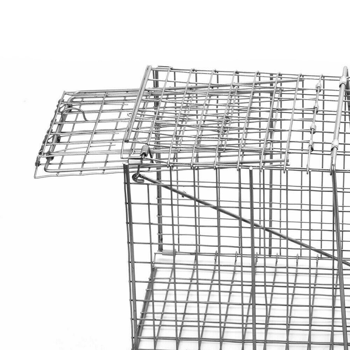 Folding Humane Live Catch Animal Trap Cage for Possum Fox Rat Rabbit Bird