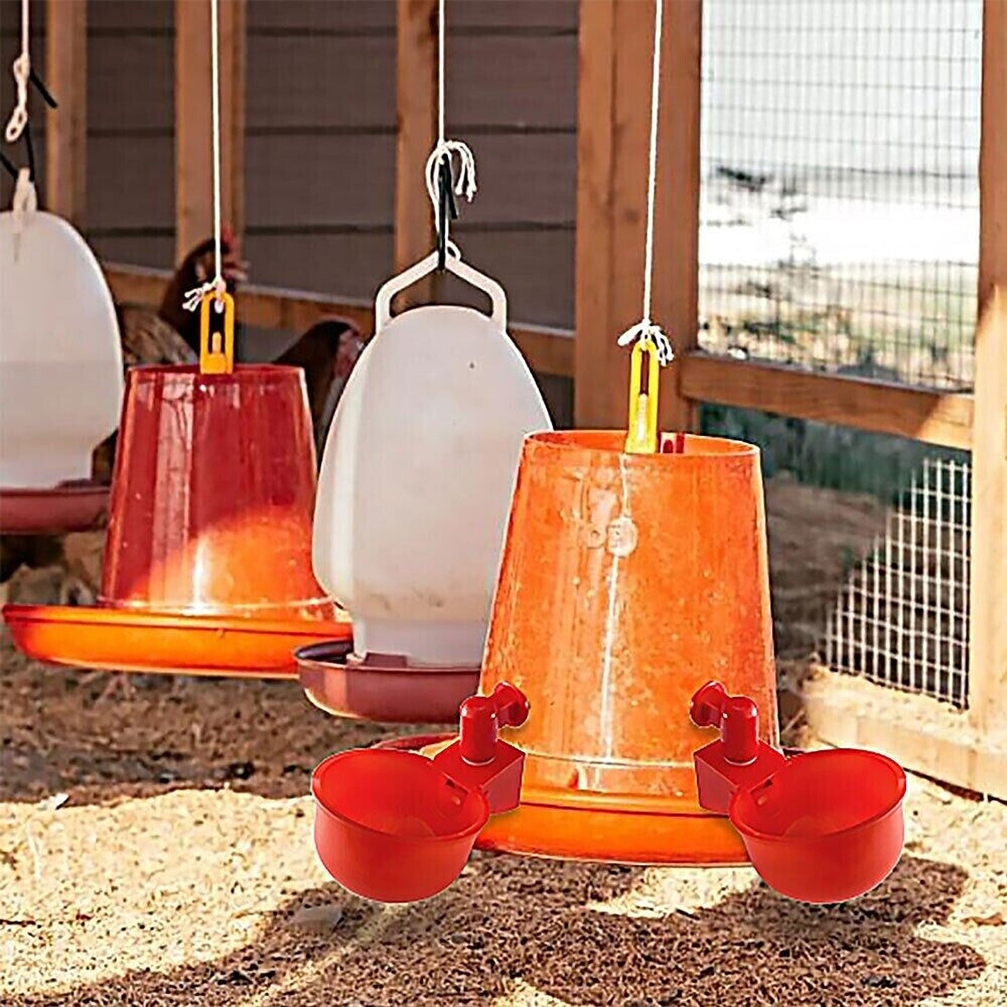 6pcs Automatic Poultry Drinking Bowls Chicken Water Cups Feeder