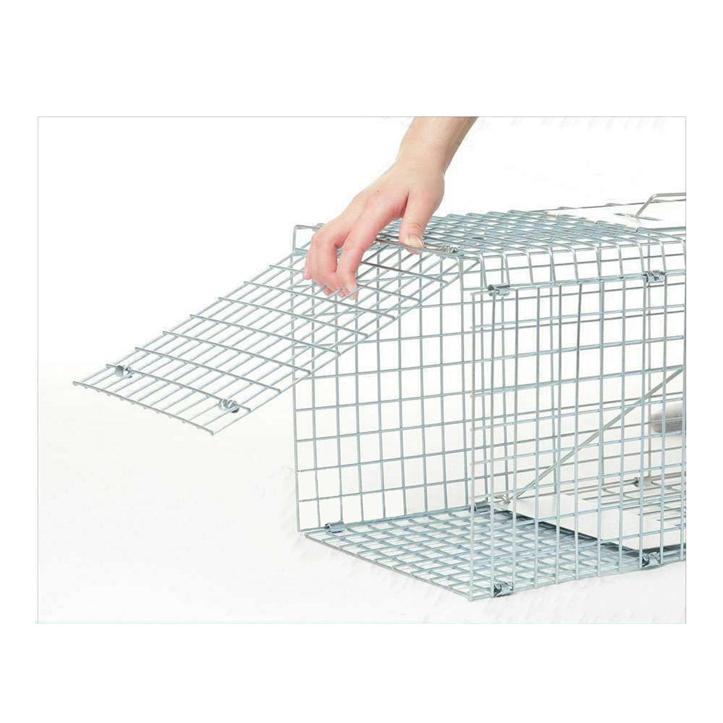 Live Catch Animal Trap Cage for Possum Cat Rabbit and Fox - Humane