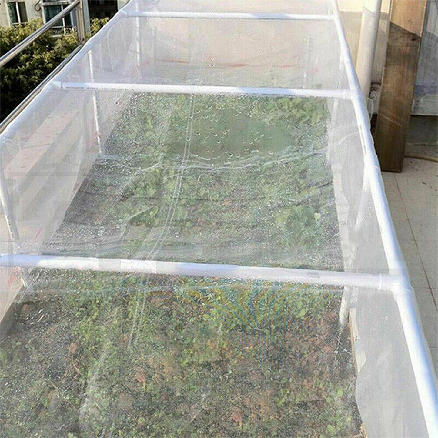 Insect Protection Mesh Netting for Fruits and Vegetable Plants