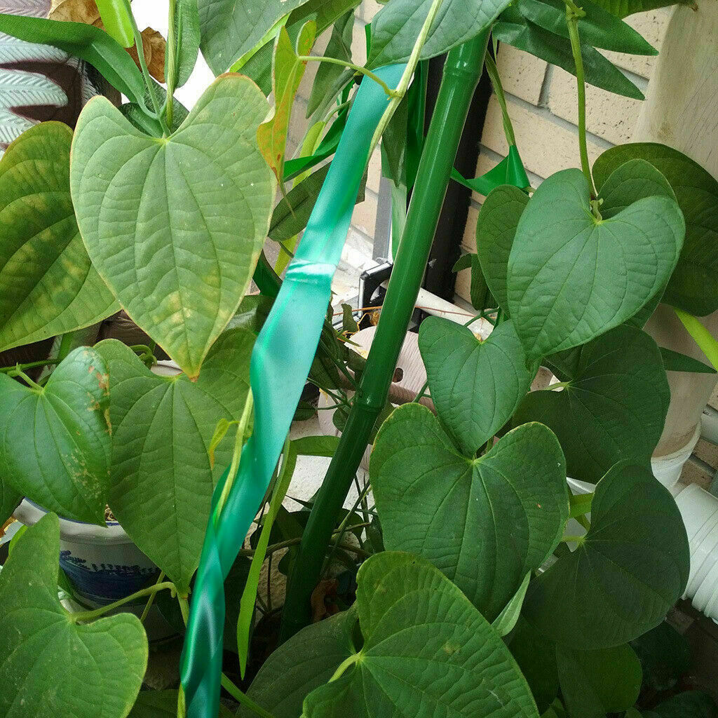 Durable Green Tree Tying Tape Flexible Plant Stretch Ties 46M