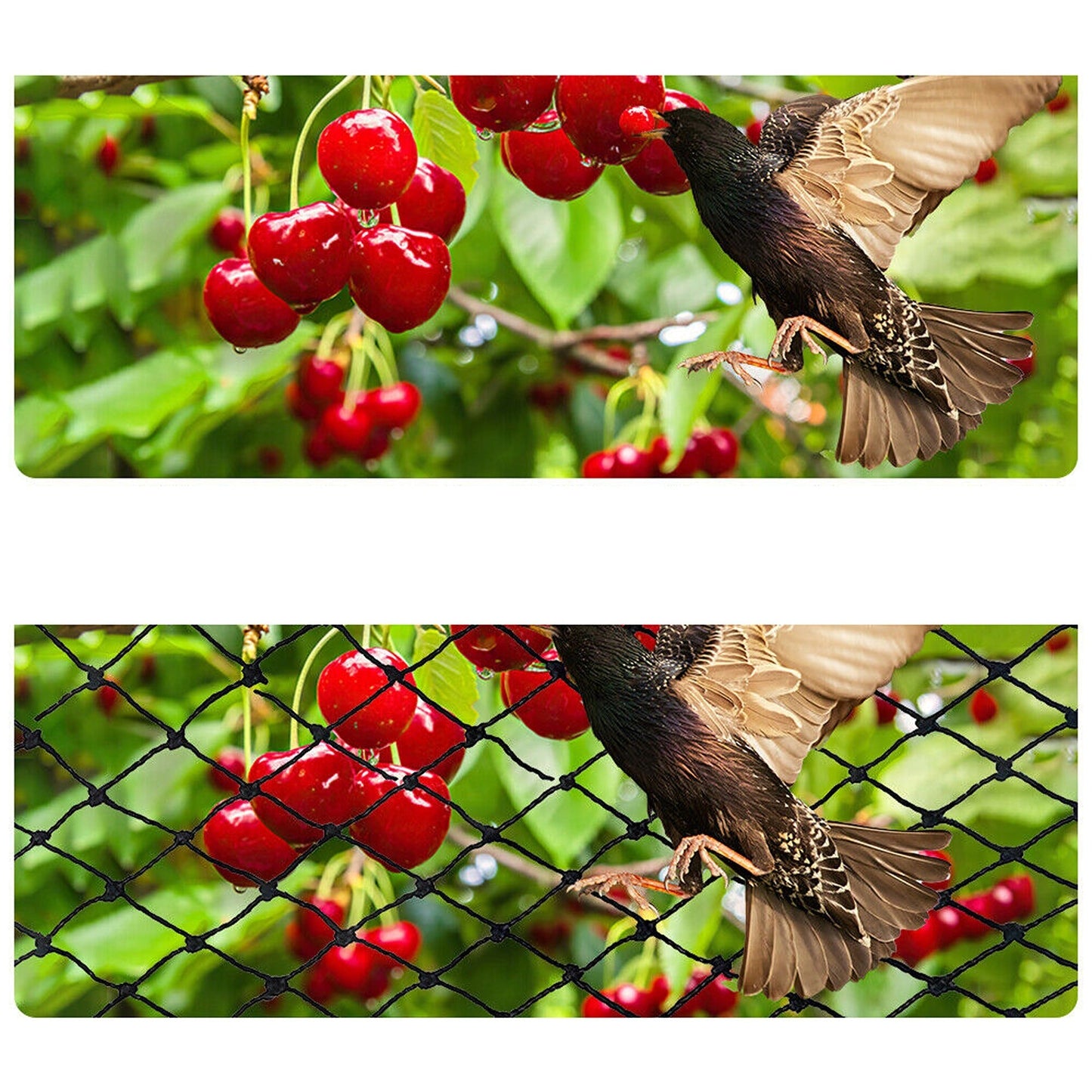 Anti Bird Netting for Garden Commercial Grade Mesh Cover for Fruit Trees