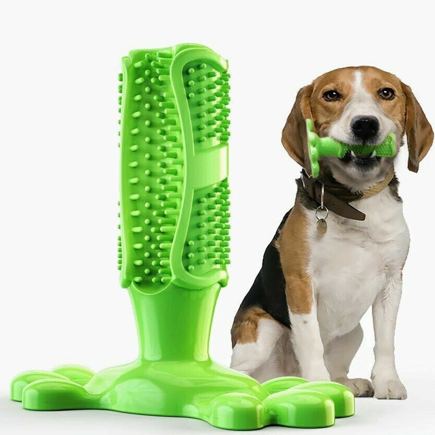 Chewable Dog Toothbrush Molars Brush for Pet Dental Health