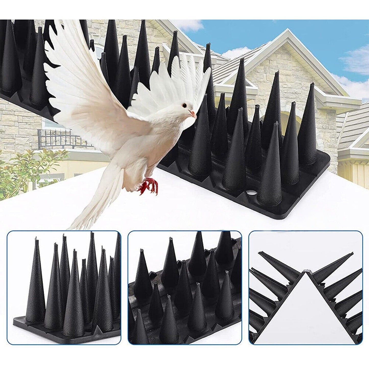 12pcs Effective Pest Control Spikes Anti-Bird Deterrent Fence