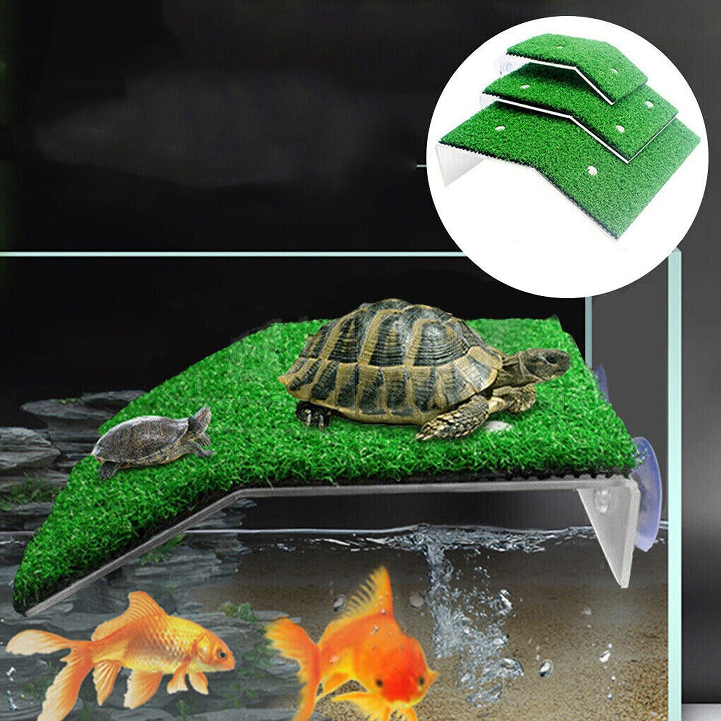 Cora Turtle Basking Platform with Ramp for Reptile Tanks