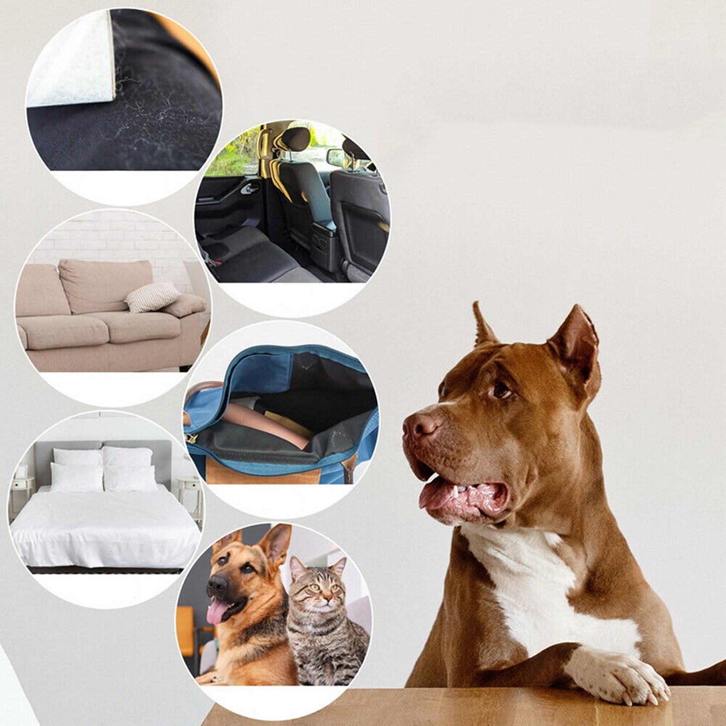 Sticky Buddy Reusable Lint Roller Pet Hair Remover Cleaning Tool
