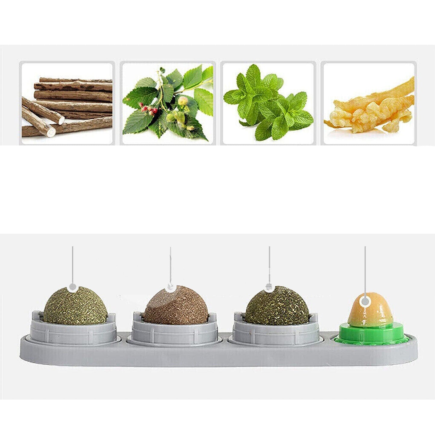 Wall Mount Catnip Ball Toy for Cats - Digestion Helping Solid Nutrition