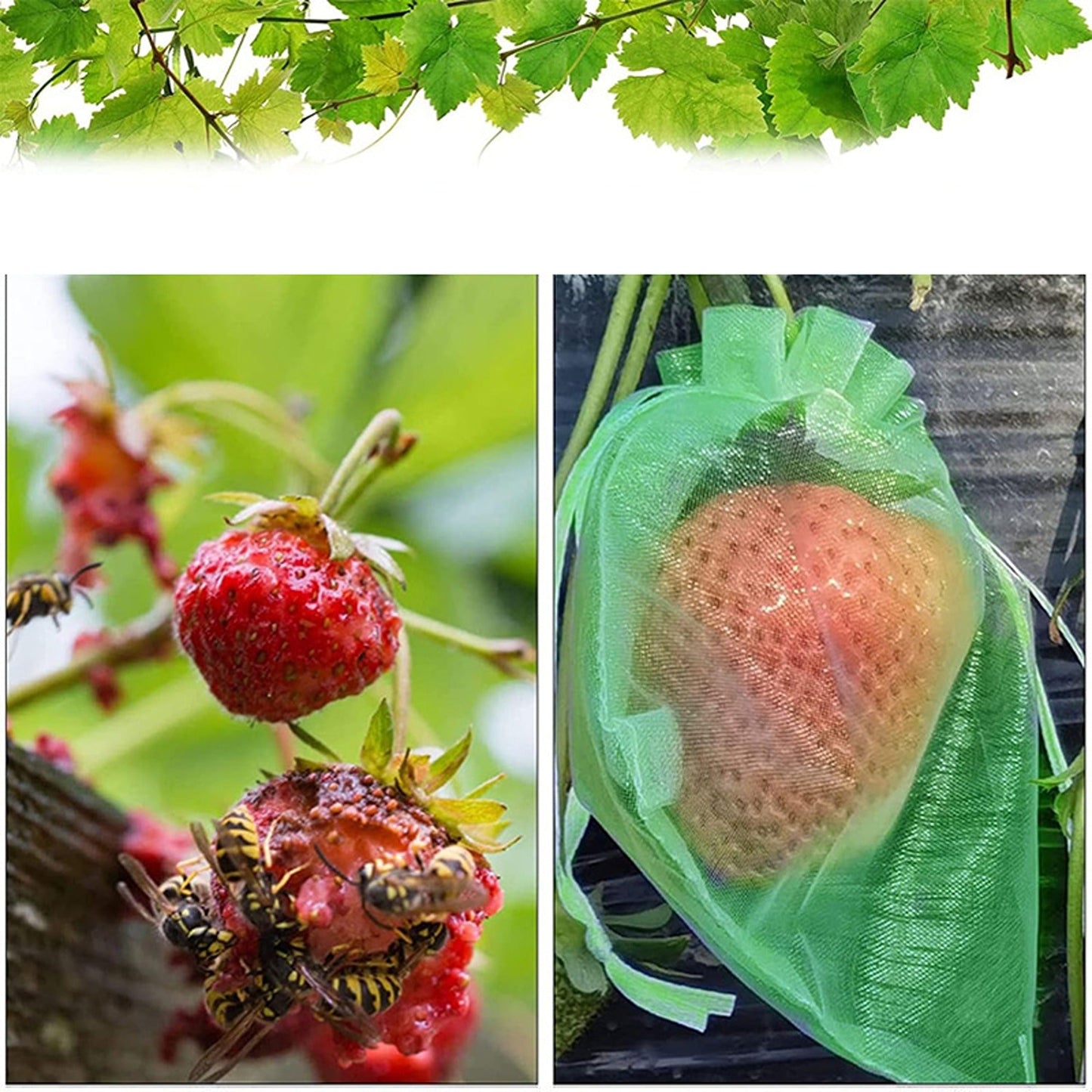 100x Agricultural Fruit Protection Net Bags Insect Proof Mesh 20x30cm