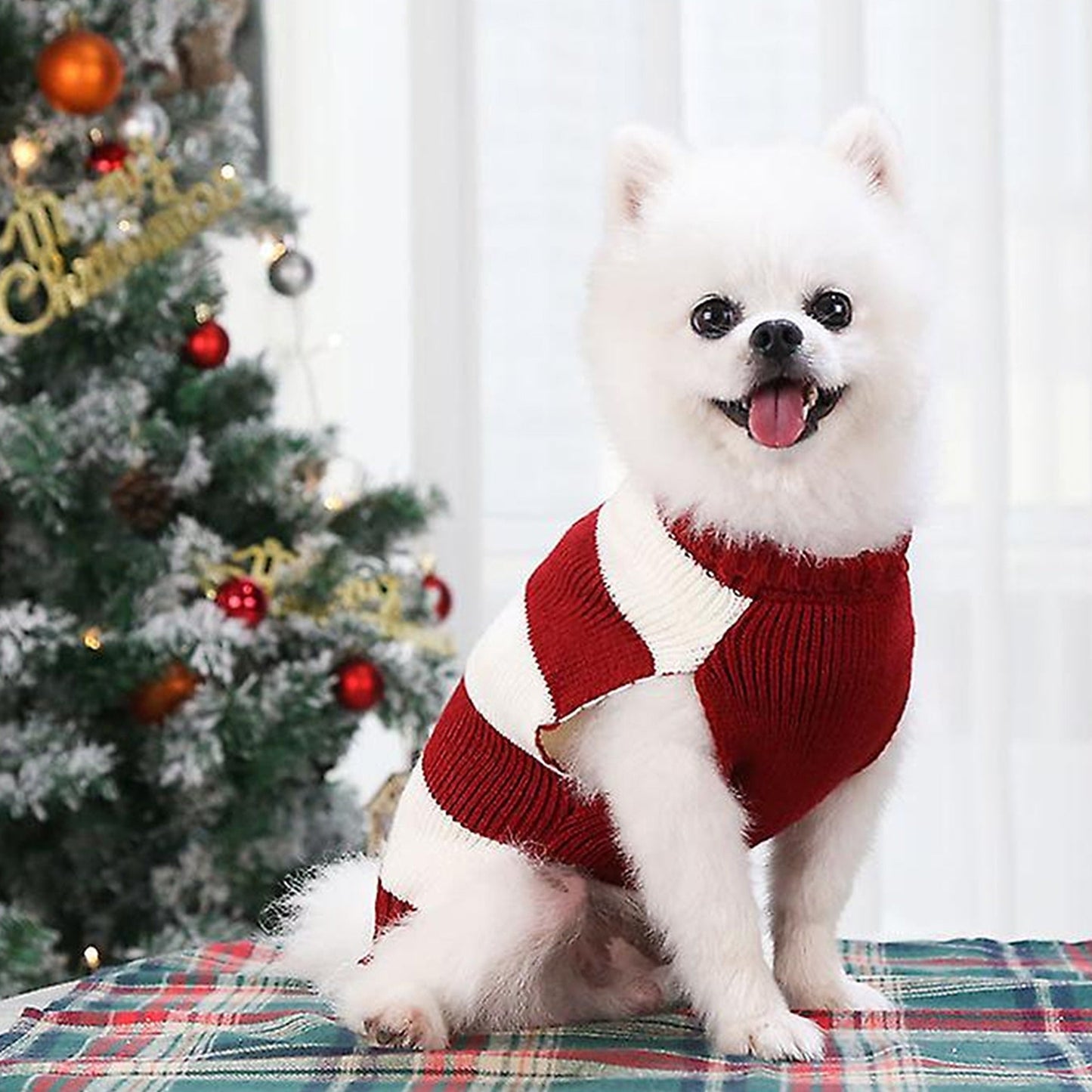 Warm Knitwear for Small Pets Knitted Jumper Sweater for Dog Cat