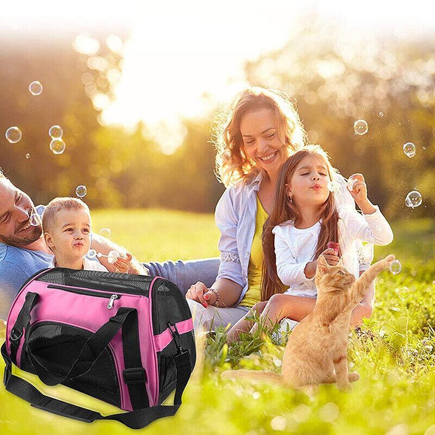 Portable Pet Carrier Bag for Cats and Dogs Airline Approved