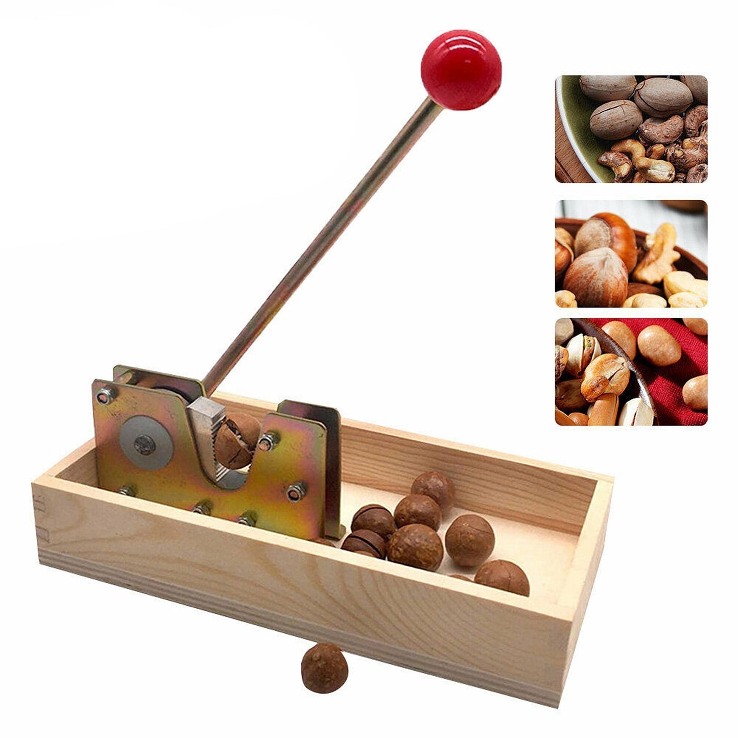 Manual Macadamia Nut Cracker with Hand Grip Durable Nutcracker Tool