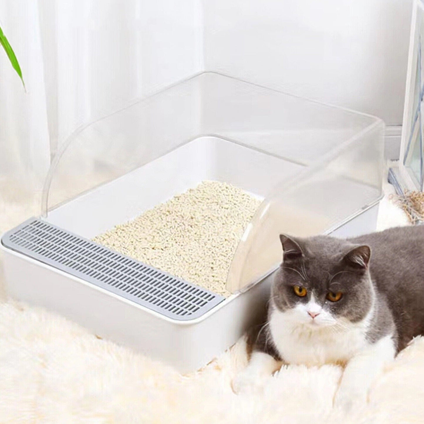 Cat Litter Box with Large Entry and Splash Guard Open Kitty Toilet Tray