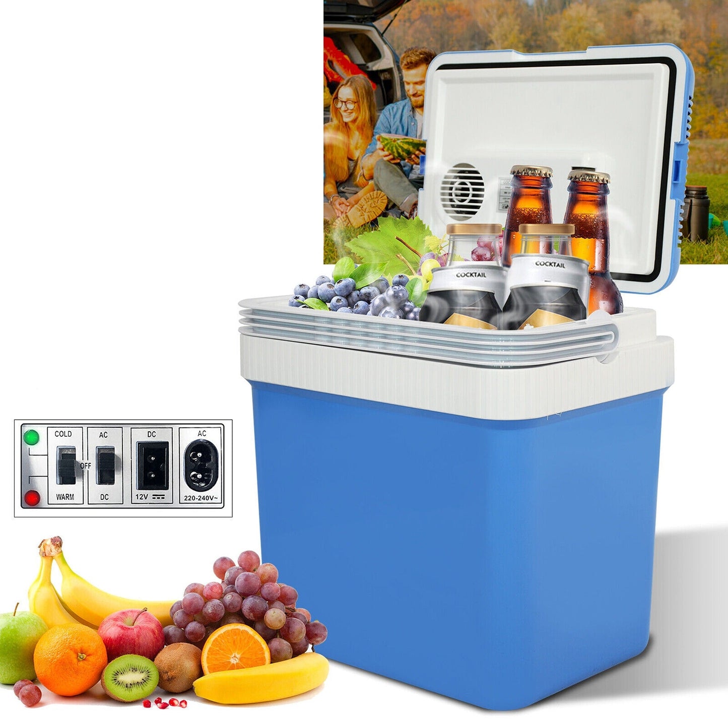 24L Portable Mini Fridge Cooler and Warmer for Camping