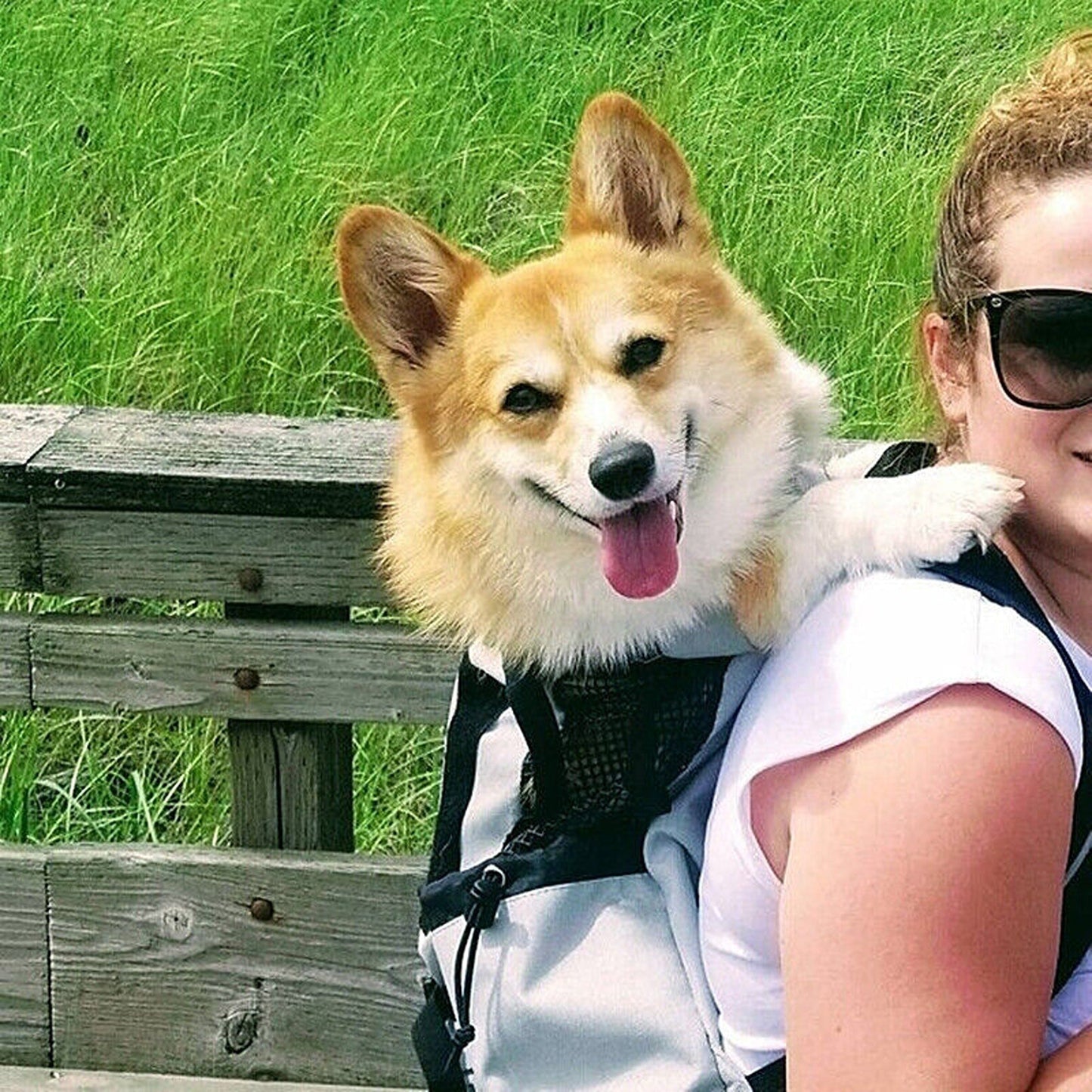 Large Backpack Dog Carrier for Bike Travel and Hiking