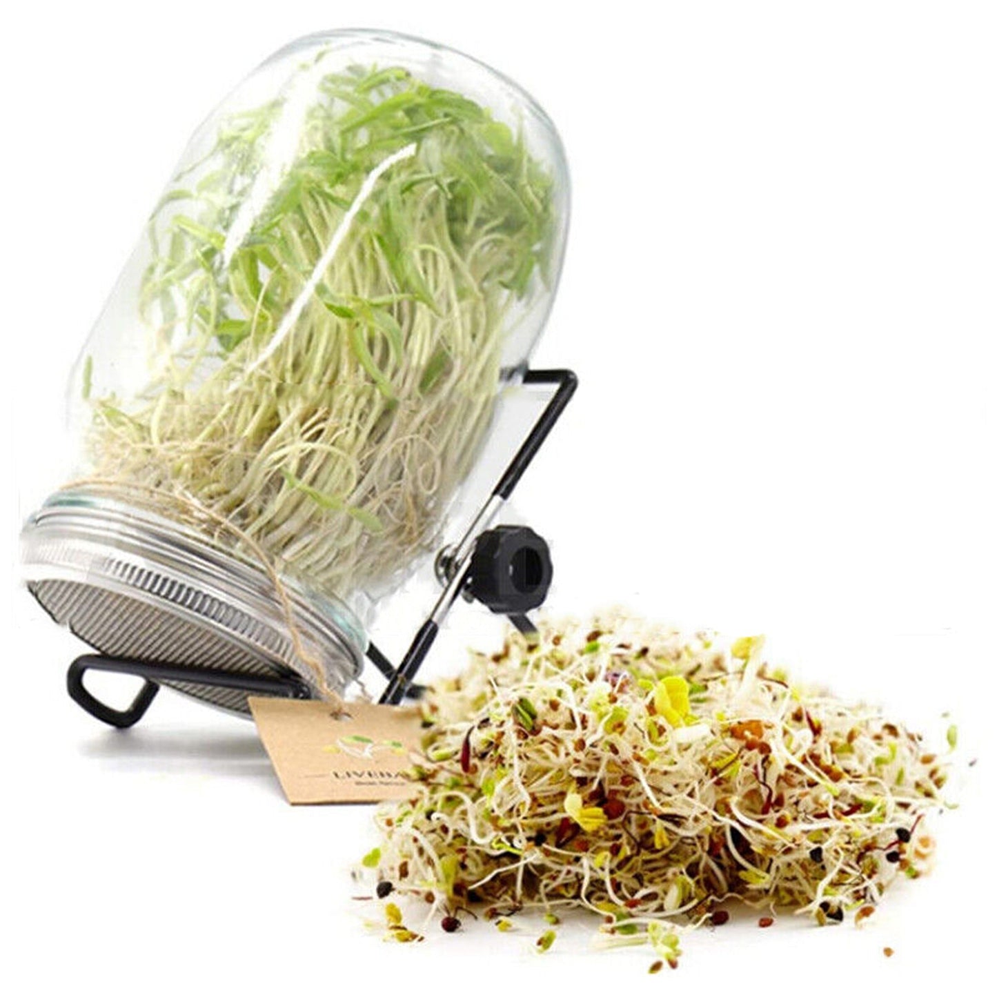 Mason Jar Seed Germination Kit with Sprouter Lids and Stands - 2 Sets