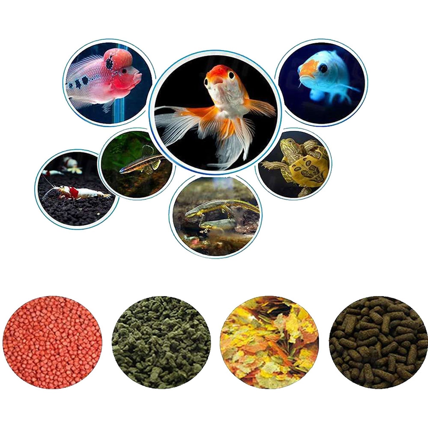 Wi-Fi Enabled Fish Food Dispenser Automatic Feeder for Aquariums