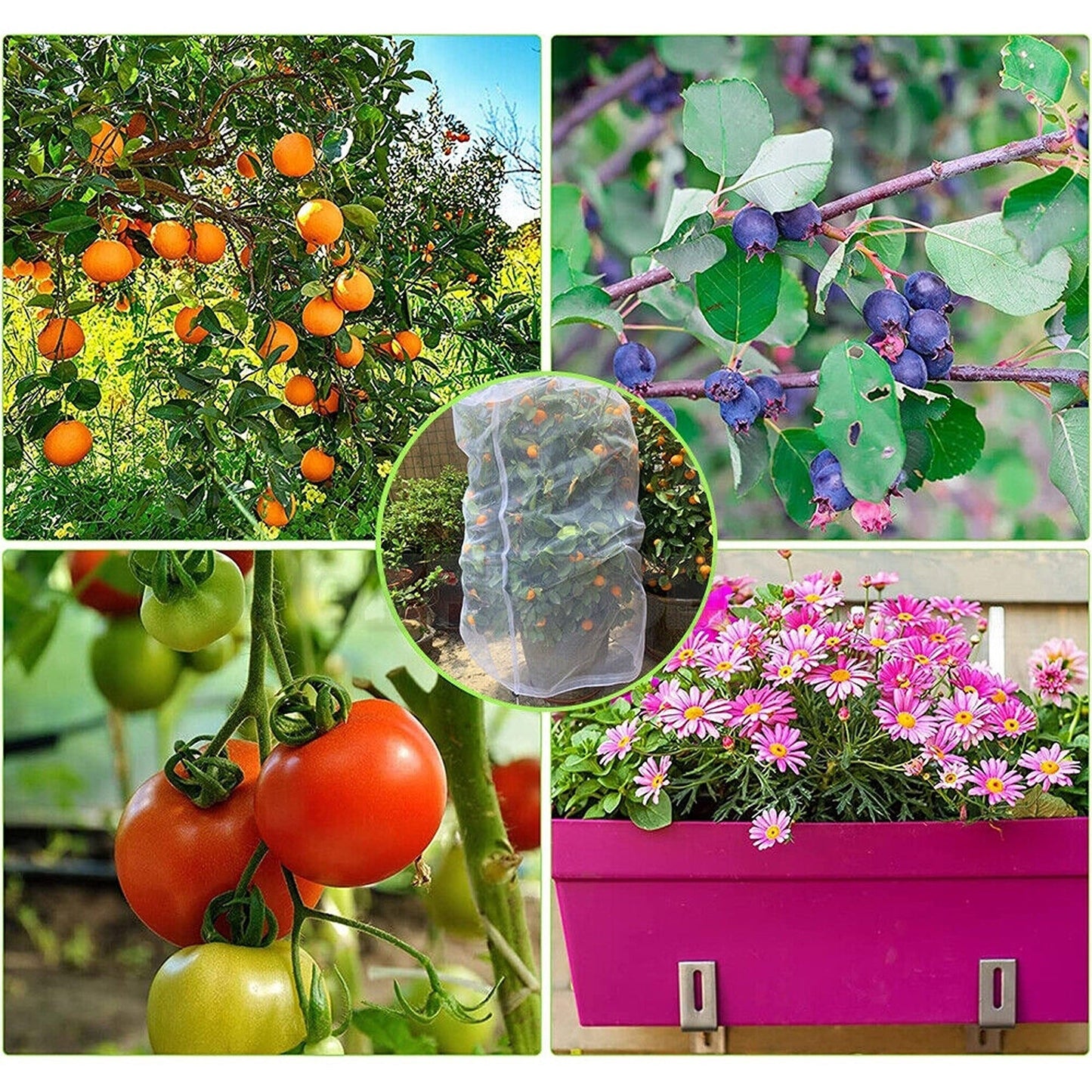 Insect Protection Mesh for Plants Fruit Fly Netting Vegetable Garden Cover