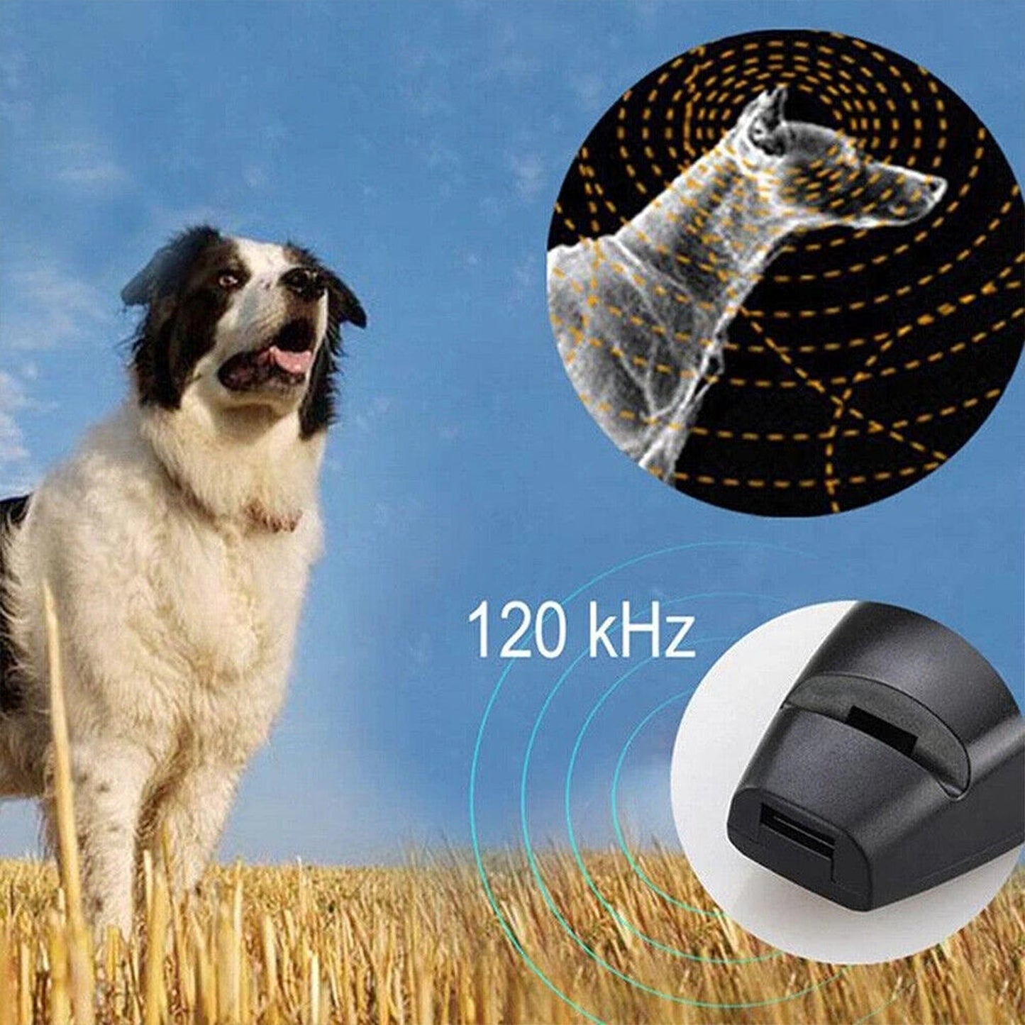 Puppy Training Set Dog Whistle Clicker Combo for Barking and Obedience