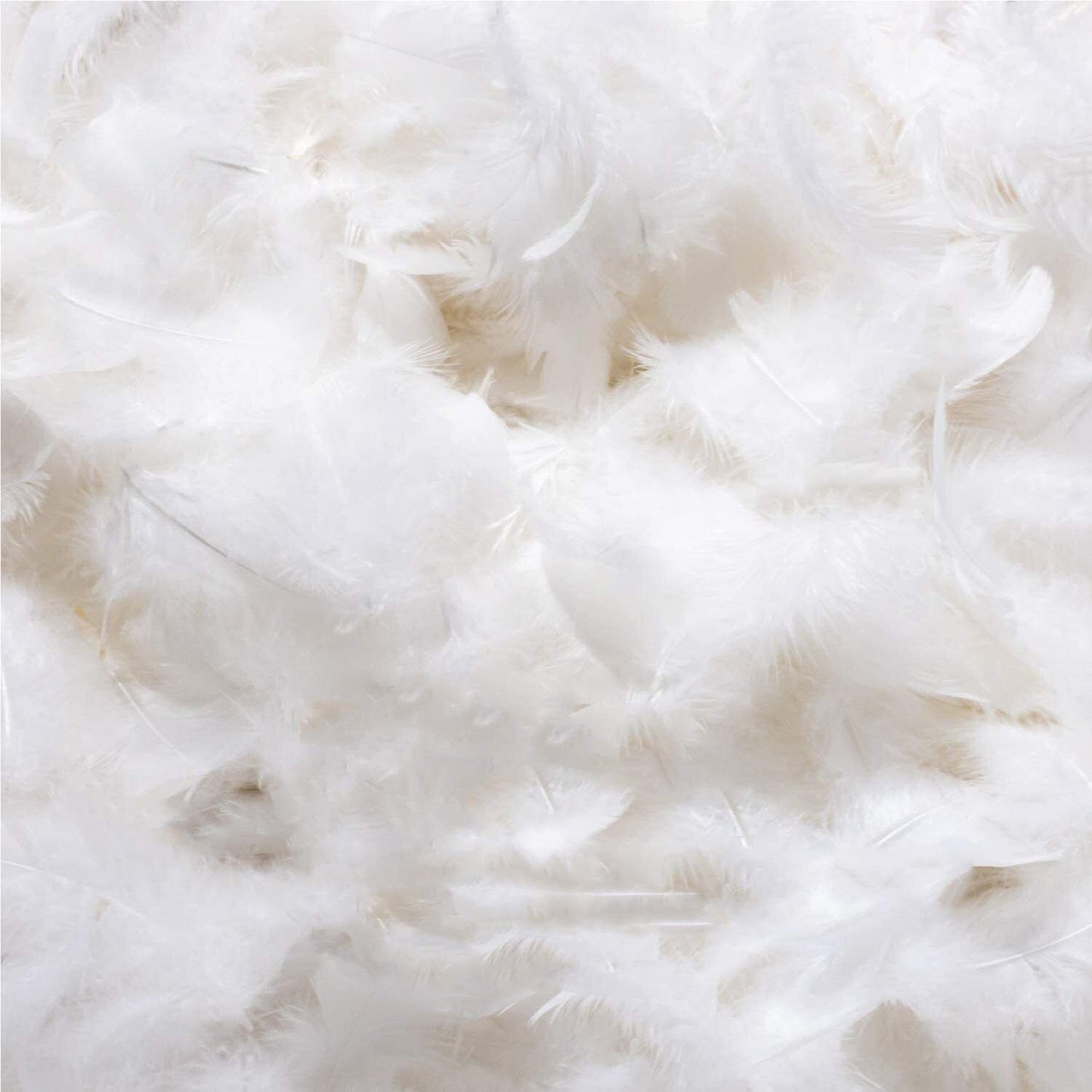 700GSM High Quality Goose Down Duvet Doona for All Bed Sizes