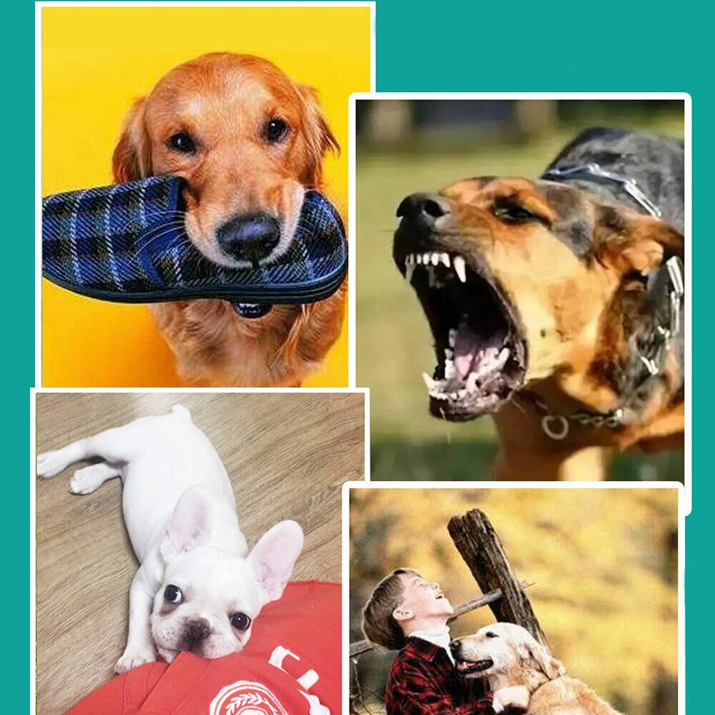 Durable Cotton Puppy Dog Rope Chew Toy Set for Clean Teeth Cat Toys