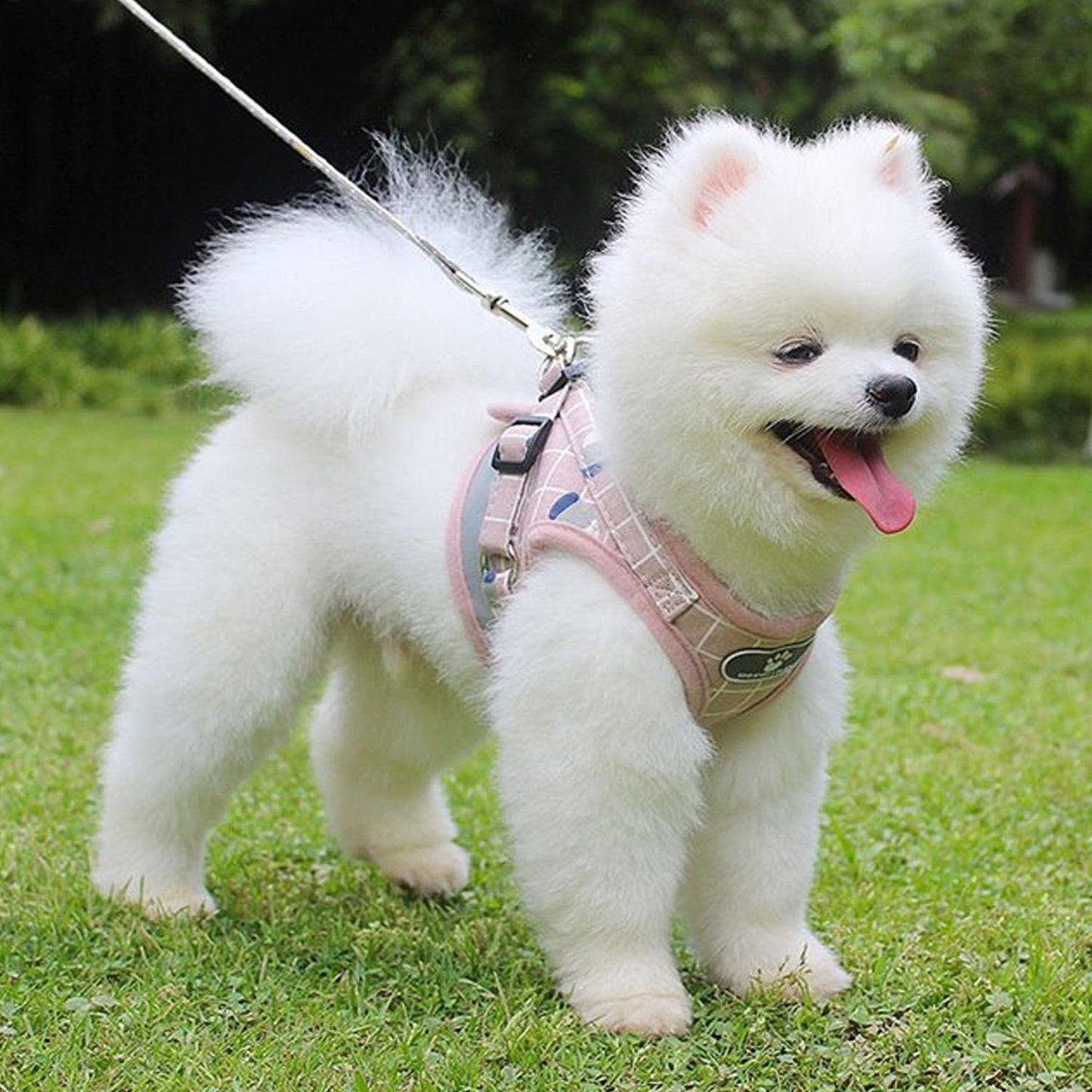 Pink Adjustable Mesh Pet Vest Harness for Cats and Dogs