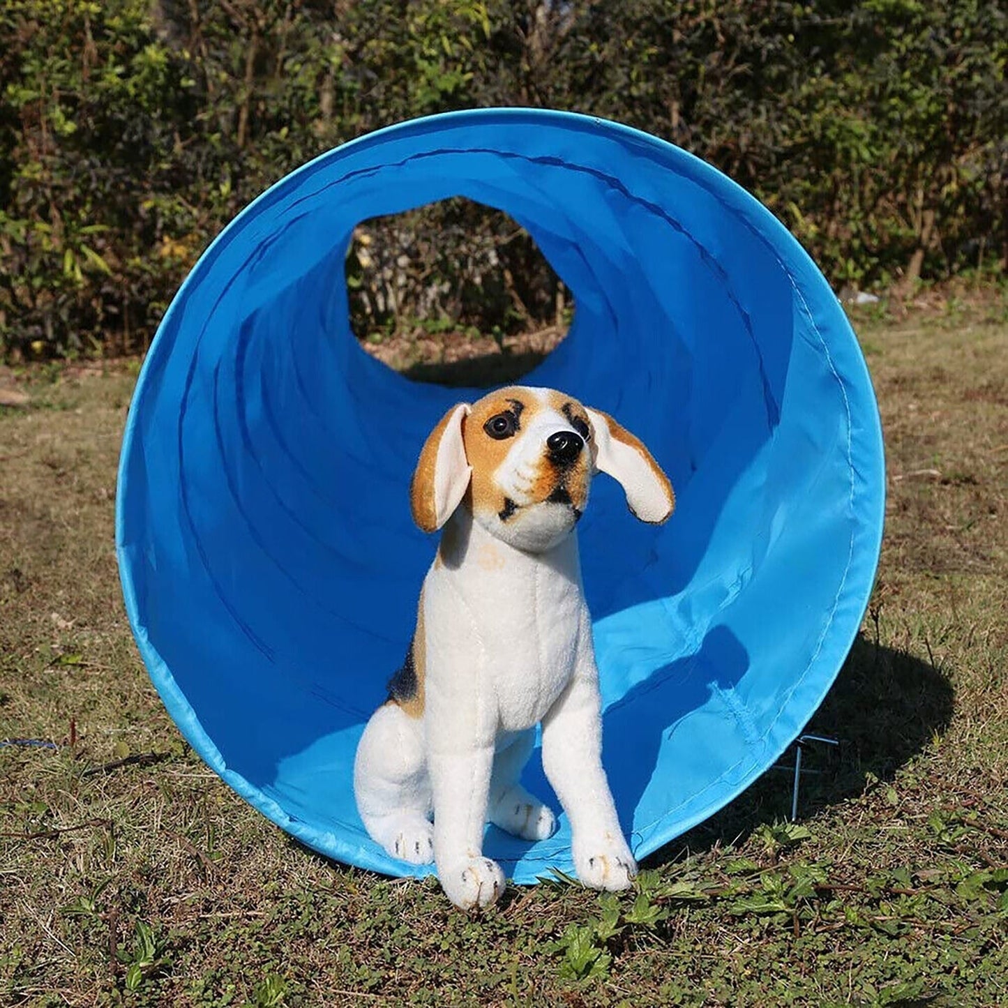 Waterproof 5M Pet Agility Exercise Tunnel Training Cat Dog Chute with Carry Bag