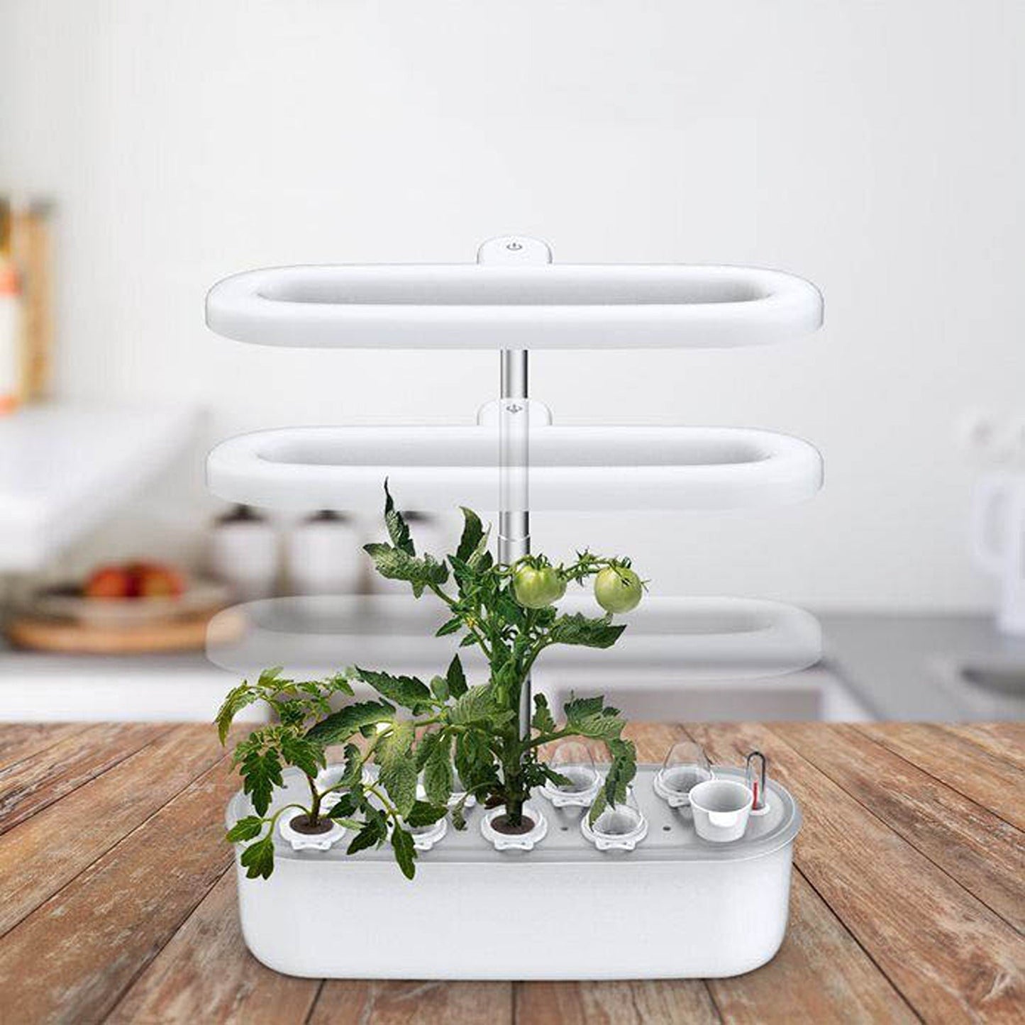 Indoor Hydroponics Herb Garden Starter Kit with LED Grow Lights